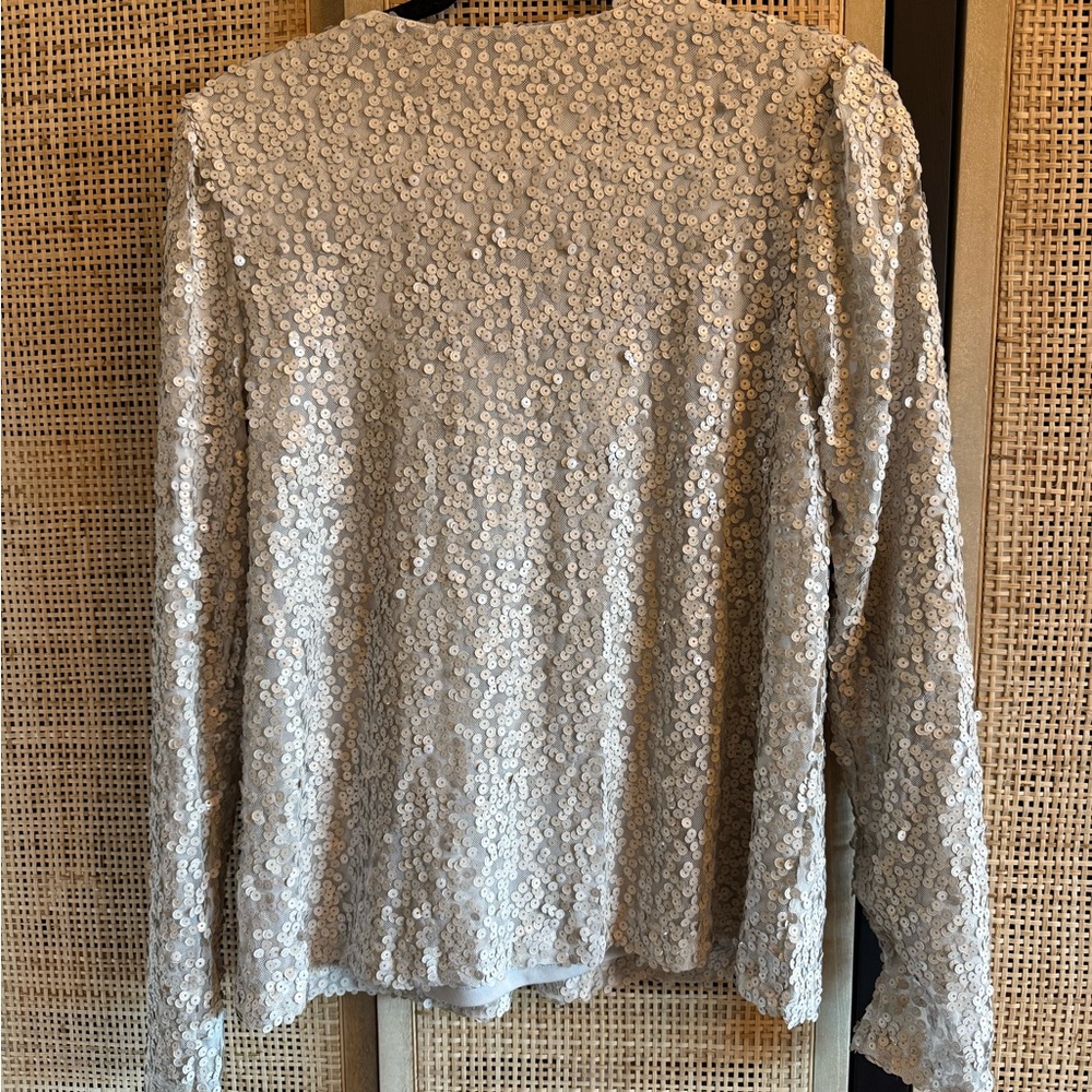 Allison Joy gray sequin top. Size L. - Picture 3 of 10
